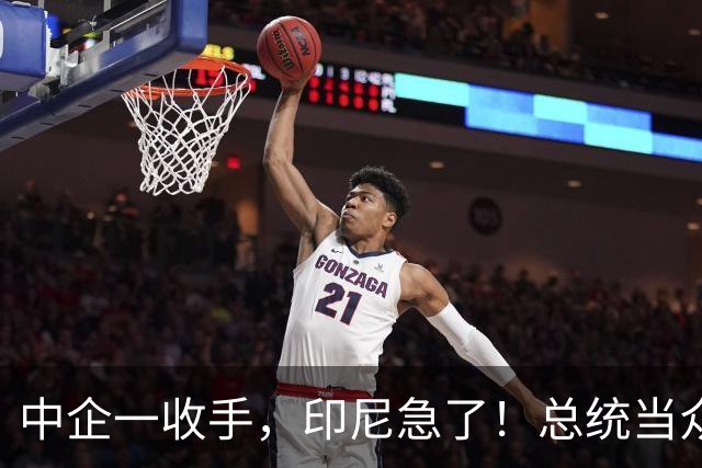中企一收手，印尼急了！总统当众喊“家人们”，中方只看实际行动