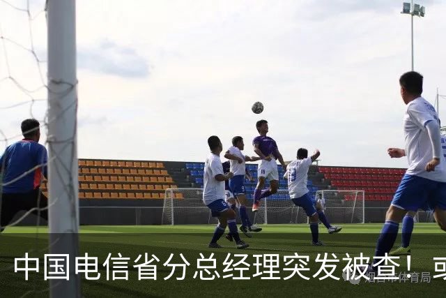中国电信省分总经理突发被查！或与三个月前另一高管案情有关！