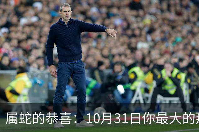 属蛇的恭喜：10月31日你最大的那位贵人，要现身了！