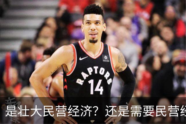 是壮大民营经济？还是需要民营经济？