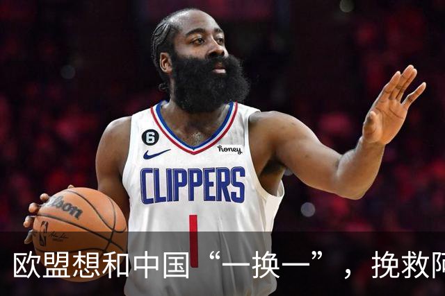 欧盟想和中国“一换一”，挽救阿斯麦企业，方案中国未必会同意