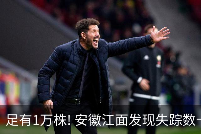 足有1万株! 安徽江面发现失踪数十年的神秘水草, 竟是世界级濒危物种