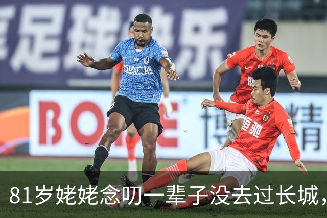 81岁姥姥念叨一辈子没去过长城，外孙用红高粱在院子里铺了一座，央视都转了